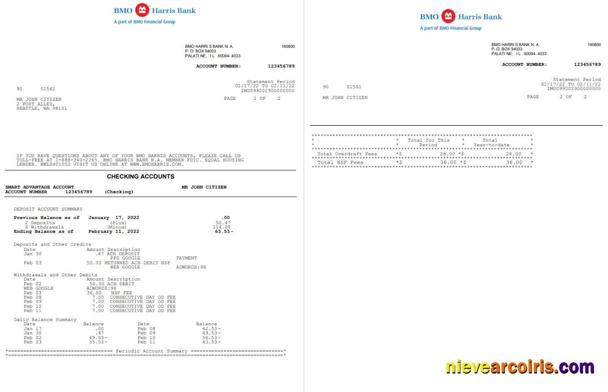 USA BMO Harris bank statement Word and PDF, 3 pages